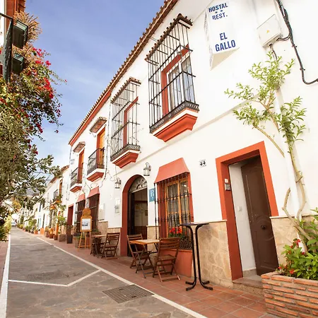 Hostal El Gallo-2